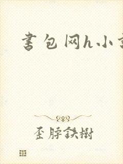 书包网h小说