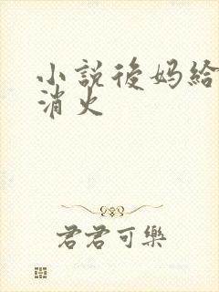 小说后妈给我消消火