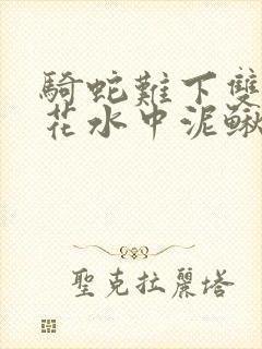 骑蛇难下双金银花水中泥鳅封面