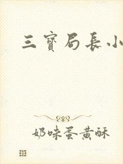三宝局长小说