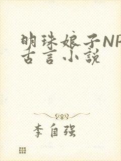 明珠娘子NPC古言小说