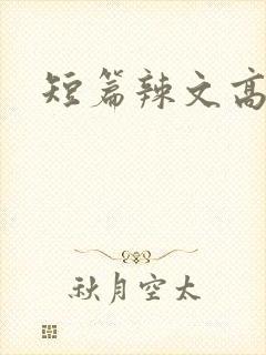短篇辣文高h