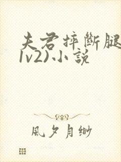 夫君摔断腿后(1v2)小说