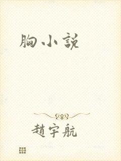 胸小说