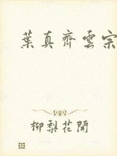 叶真齐云宗免费