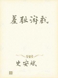 羞耻游戏封面