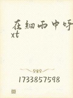 在细雨中呼喊txt