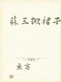 苏三掀裙子封面