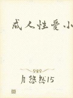 成人性爱小说封面