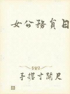 女公务员日记封面