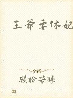 王爷要休妃