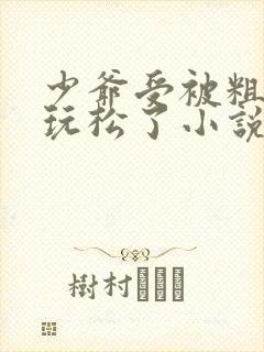 少爷受被粗汉H玩松了小说封面