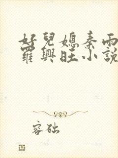 好儿媳秦雨罗明罗兴旺小说封面