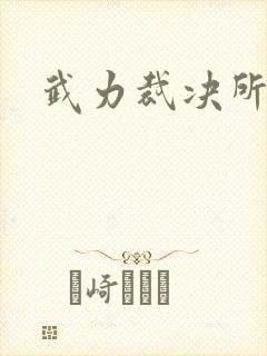 武力裁决所