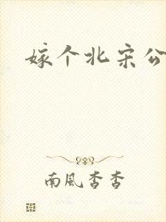 嫁个北宋公务员