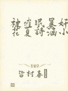 被催眠暴奸的校花夏诗涵小说封面