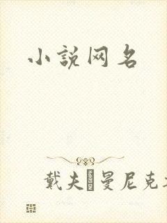 小说网名