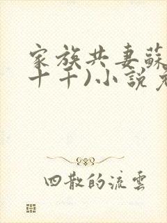 家族共妻苏苏(十千)小说免费