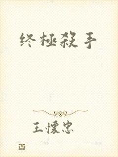 终极杀手