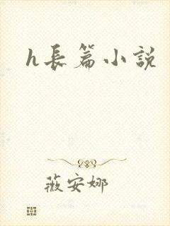 h长篇小说