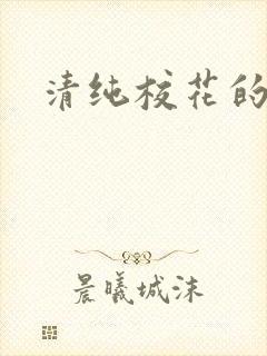 清纯校花的被