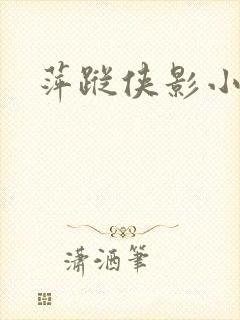 萍踪侠影小说