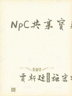 NpC共享宝贝