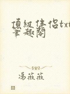顶级伴侣txt笔趣阁封面
