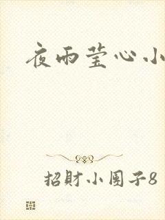 夜雨莹心小说