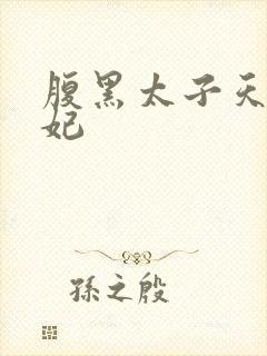 腹黑太子天降萌妃