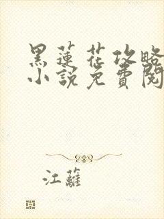 黑莲花攻略手册小说免费阅读全文封面