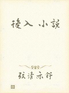 后入 小说