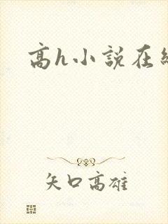 高h小说在线看