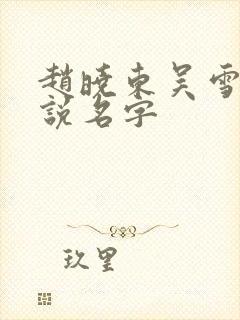赵晓东吴雪晴小说名字