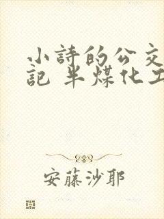 小诗的公交车日记 半煤化工封面