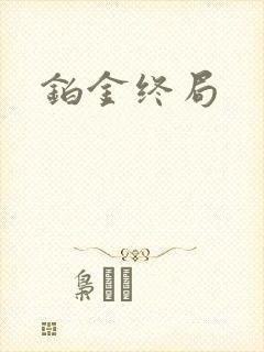 铂金终局封面