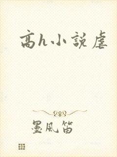 高h小说虐