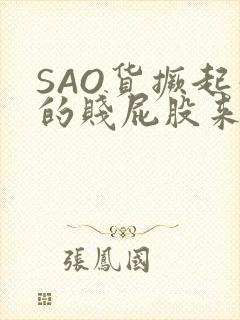 SAO货撅起你的贱屁股来