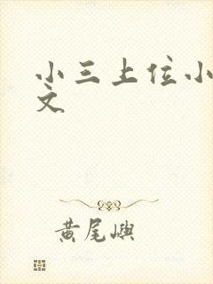 小三上位小说全文