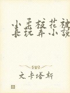 小柔校花被老校长玩弄小说封面