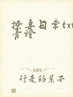 撩妻日常txt青灯