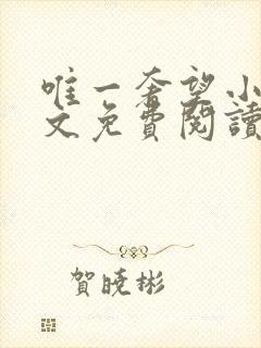 唯一奢望小说全文免费阅读封面