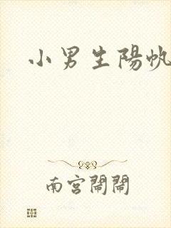 小男生阳帆