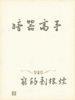 暗器高手