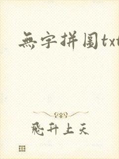 无字拼图txt封面