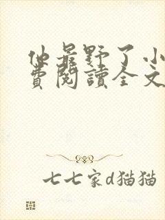 他最野了小说免费阅读全文