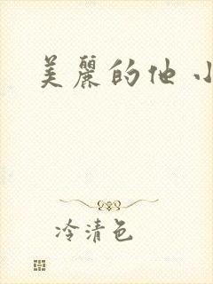 美丽的他 小说