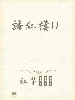 诱红楼11