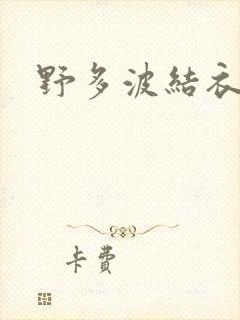 野多波结衣