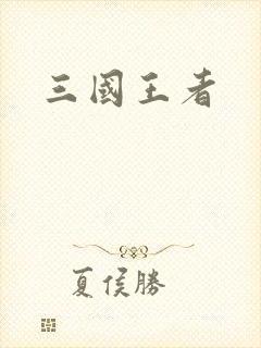 三国王者封面